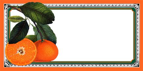 Free Printable Marmalade Labels